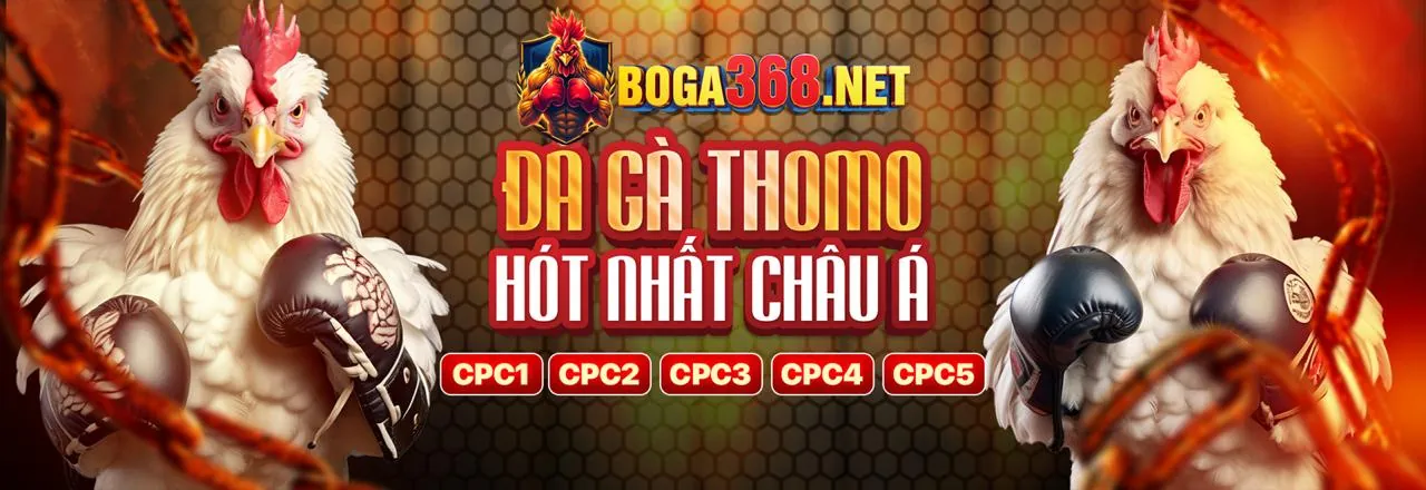 Đá gà trực tuyến fabet win